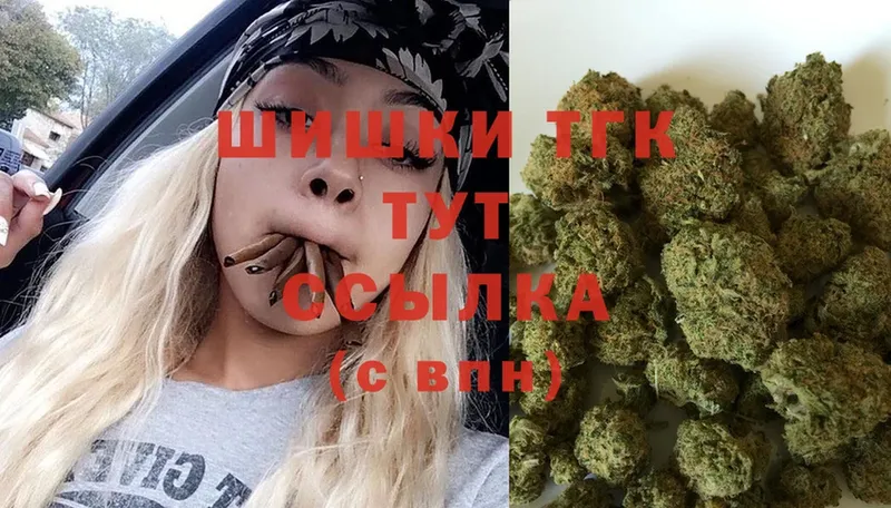 Канабис SATIVA & INDICA  где купить наркотик  Александровск 